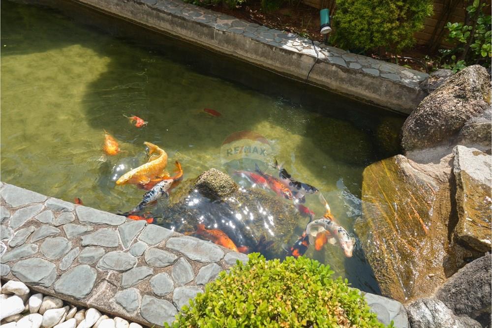 Apartamento - Venda - São Paulo , São Paulo - 01fotos_064.jpg - 601251070-49