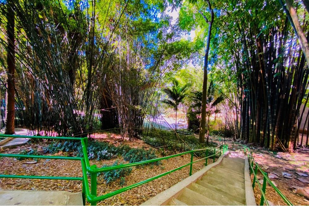 Cobertura - Venda - São Paulo , São Paulo - IMG_9266.jpg - 602361011-52