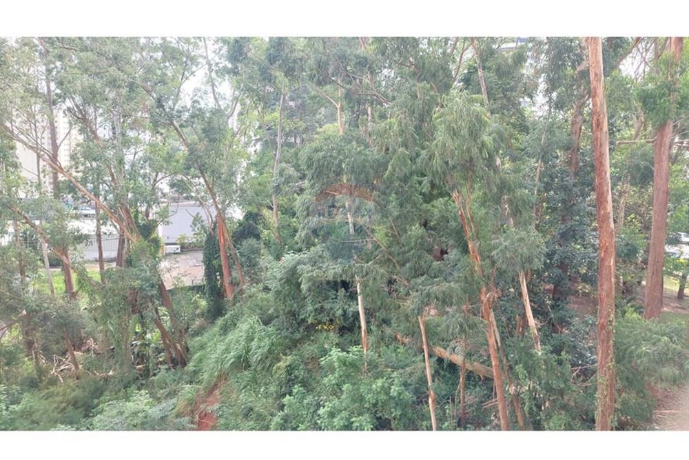 Apartamento - Alugar - São Paulo , São Paulo - 20250415_135343.jpg - 602321003-74