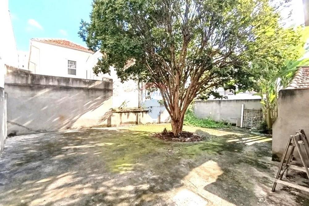 Ponto Comercial - Alugar - São Paulo , São Paulo - 34.jpeg - 602291016-340