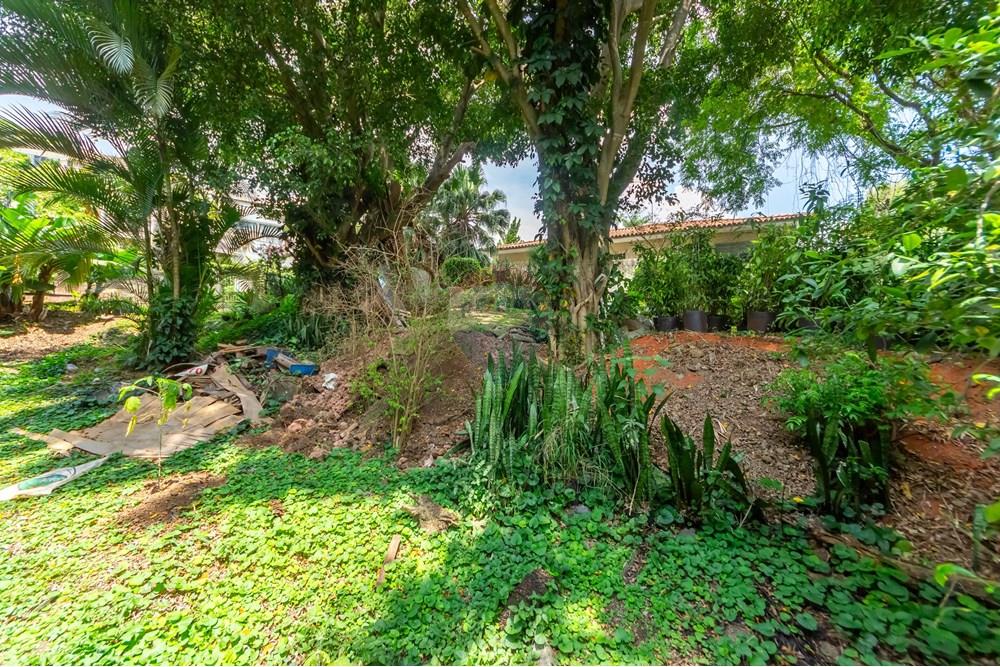 Terreno - Venda - São Paulo , São Paulo - IMG_964122.jpg - 601461011-91