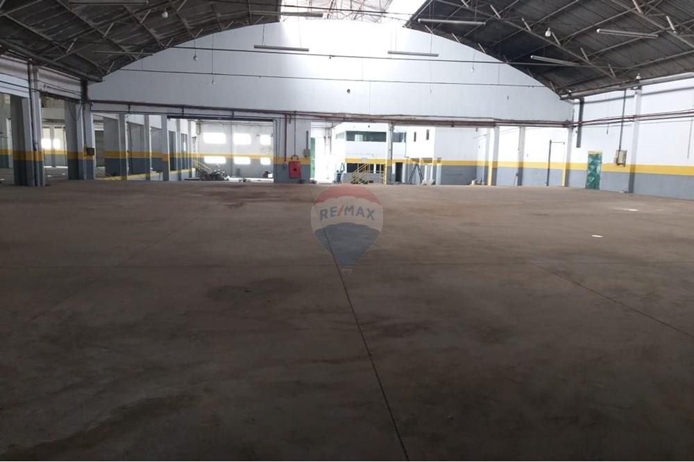 Galpão - Alugar - São Paulo , São Paulo - 39.jpg - 602291021-222