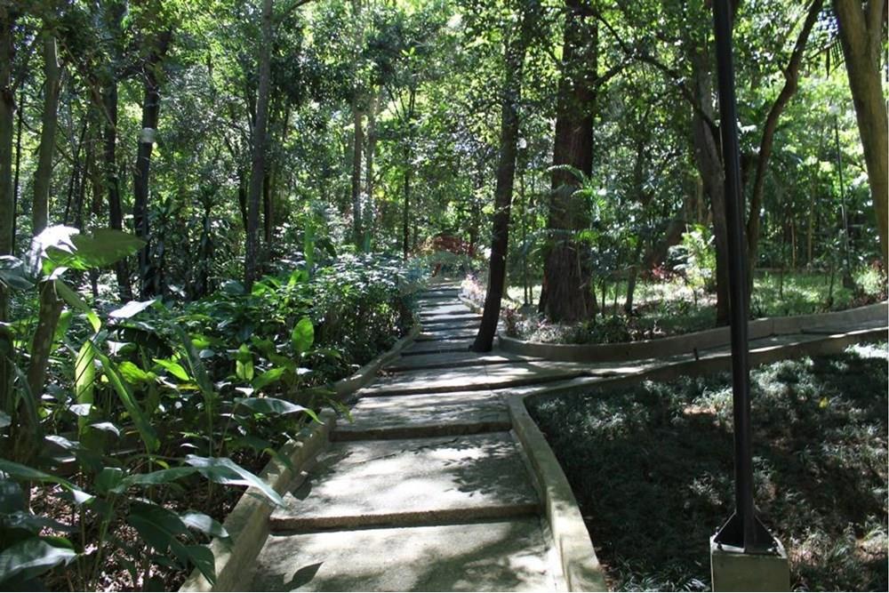 Apartamento - Venda - São Paulo , São Paulo - 6.jpg - Jardim Externo - 602161004-162