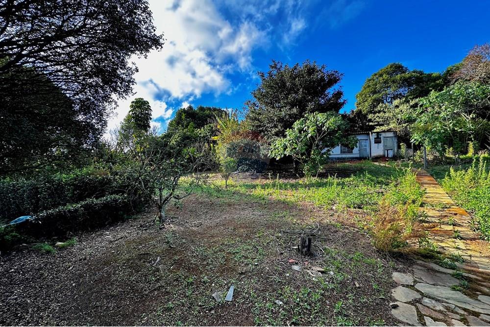 Casa - Venda - Cotia , São Paulo - IMG_8959.jpg - 602331010-36