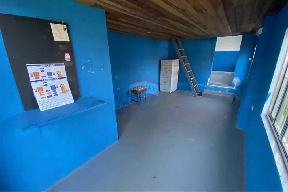 Casa Comercial - Alugar - São Paulo , São Paulo - IMG_0474.jpg - Sala - 602161019-5