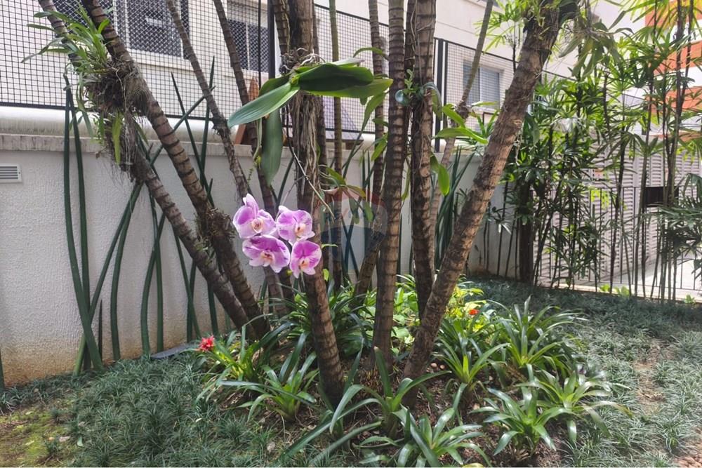 Apartamento - Alugar - São Paulo , São Paulo - WhatsApp Image 2026-03-17 at 16.53.56.jpeg - 602151008-188