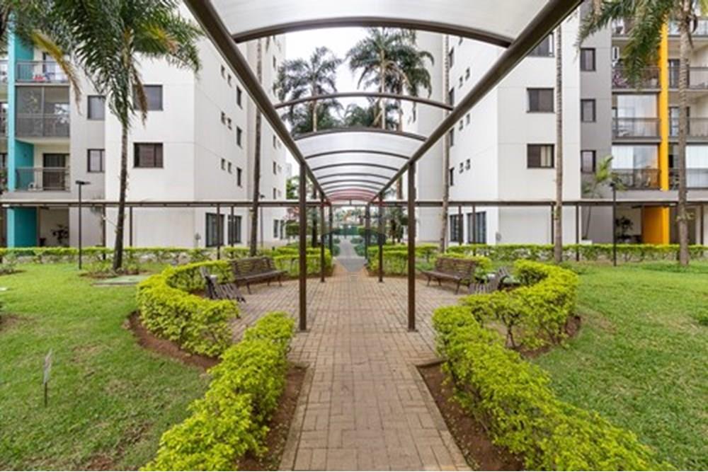 Apartamento - Alugar - São Paulo , São Paulo - jardim.jpg - 601471009-95