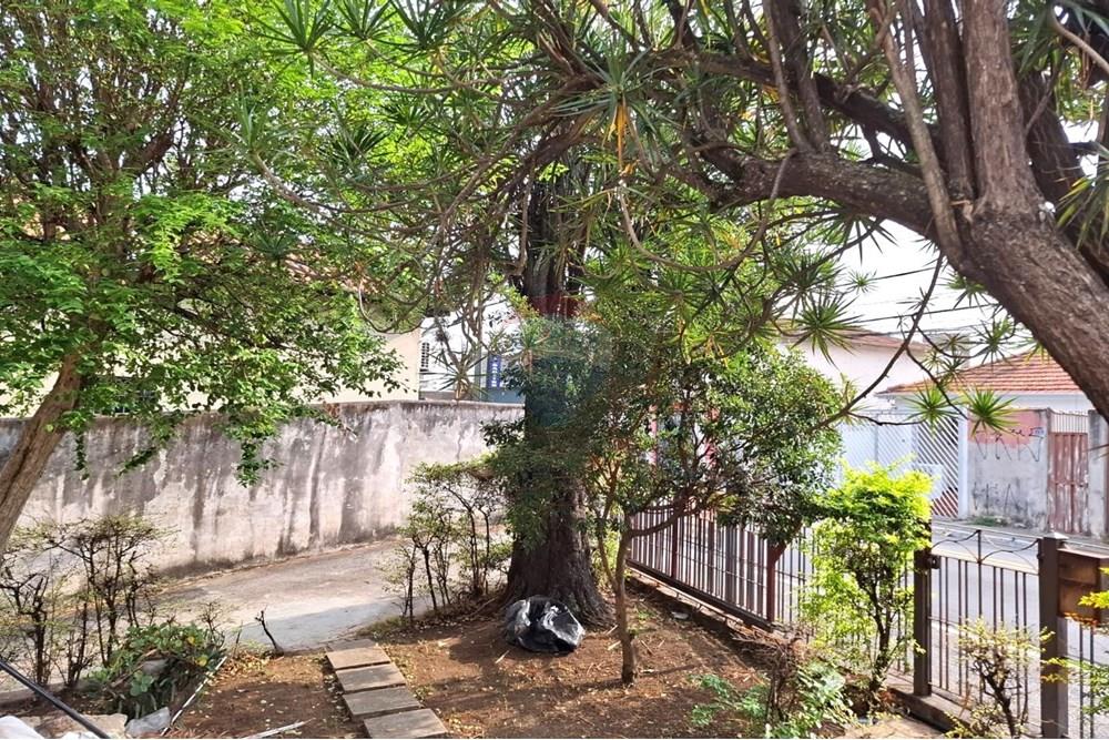 Terreno - Venda - São Paulo , São Paulo - 6.jpg - 602291016-216