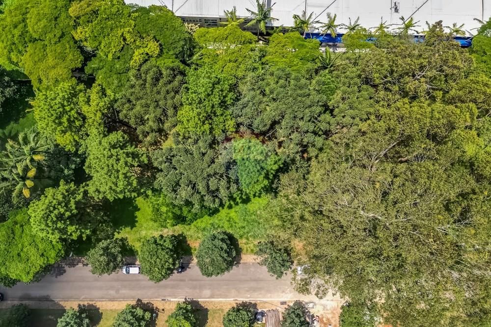 Terreno - Venda - São Paulo , São Paulo - Cópia de DJI_037201.jpg - Pátio interno - 601131046-23