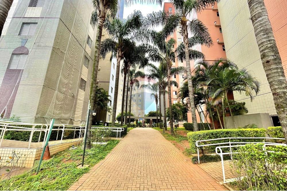 Apartamento - Venda - São Paulo , São Paulo - J. Corredor de acessos aos blocos.jpeg - 602031006-74