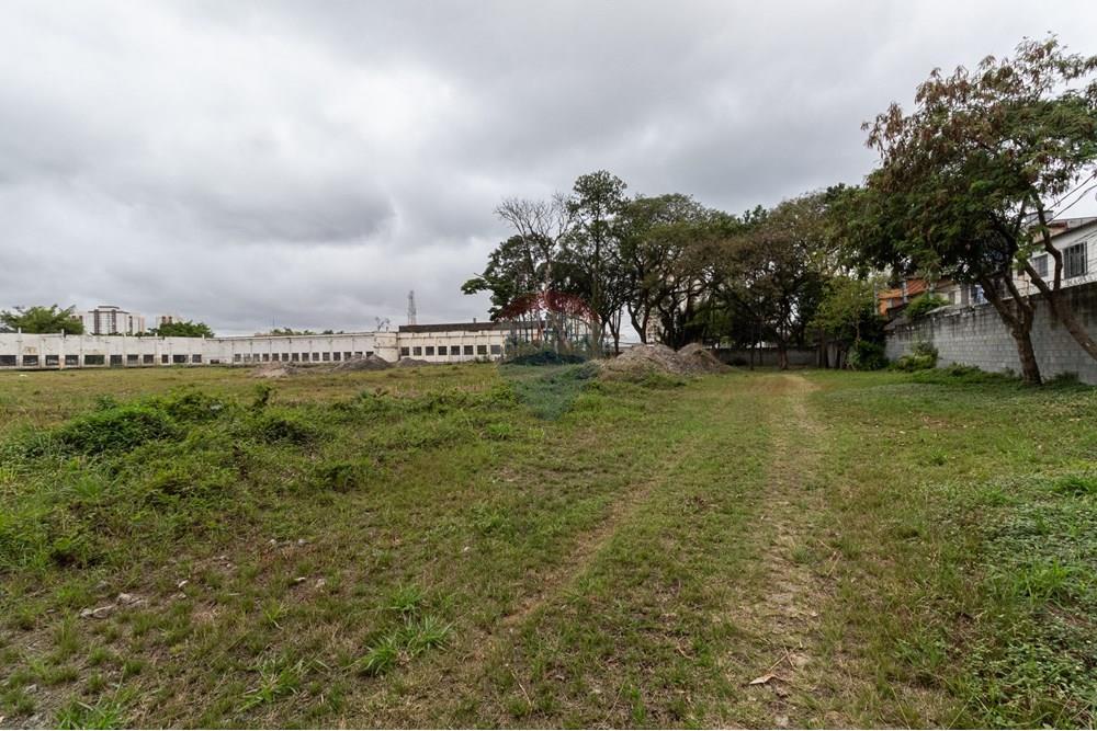 Terreno - Venda - São Paulo , São Paulo - 01fotos_066.jpg - 601251084-263
