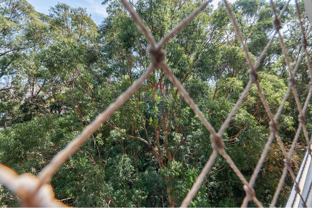 Apartamento - Venda - São Paulo , São Paulo - DSC_5449.jpeg - 601191032-45