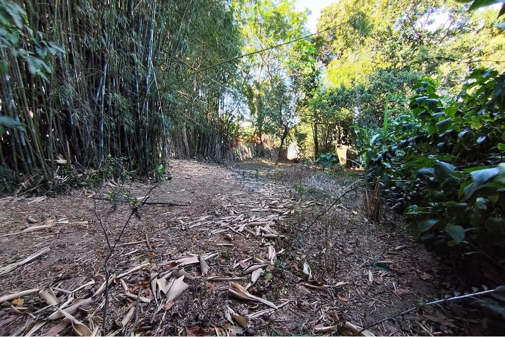 Terreno - Venda - Ferraz de Vasconcelos , São Paulo - IMG_20250918_150219.jpg - 601451005-109