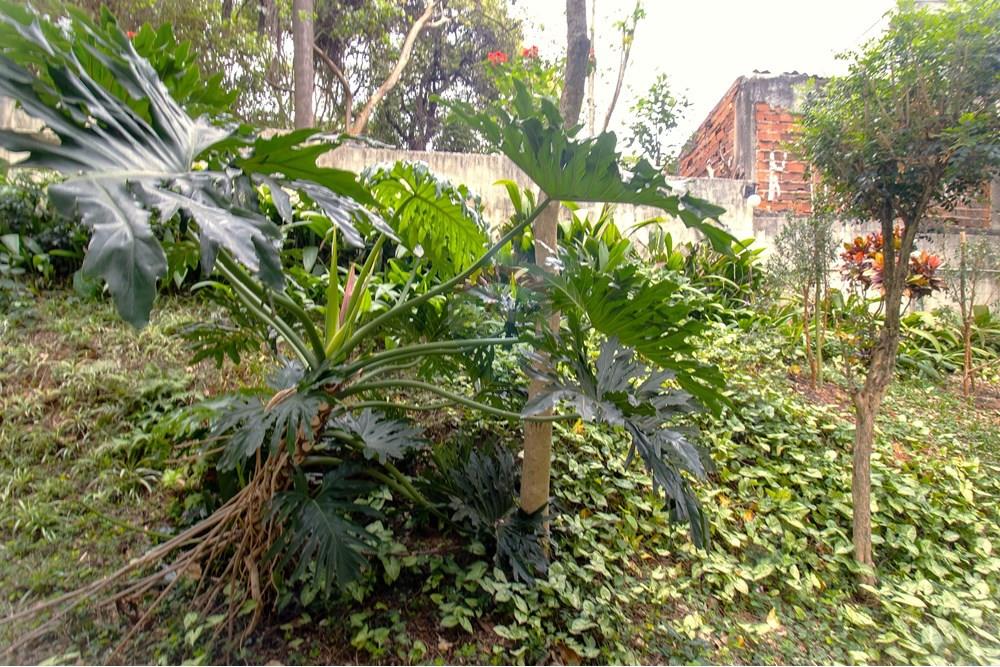 Apartamento - Venda - São Paulo , São Paulo - JARDIM FRONTAL 3.jpg - Jardim Externo - 602201019-15