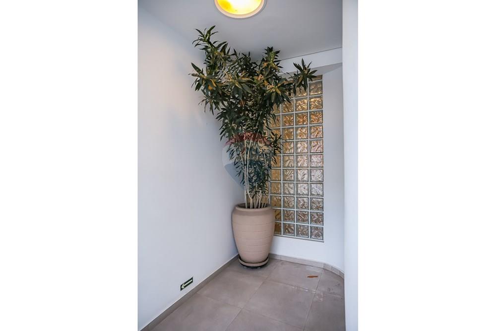 Casa Comercial - Alugar - São Paulo , São Paulo - THI_2454.jpg - 601971016-548