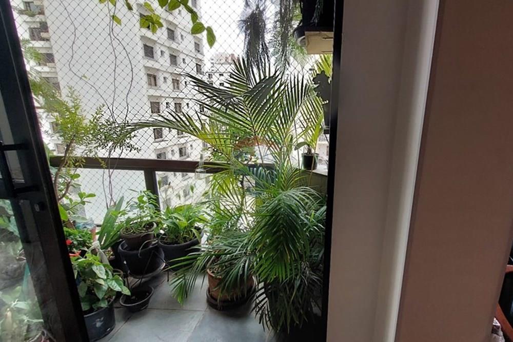 Apartamento - Alugar - São Paulo , São Paulo - WhatsApp Image 2025-01-24 at 08.37.16.jpeg - 602151006-87