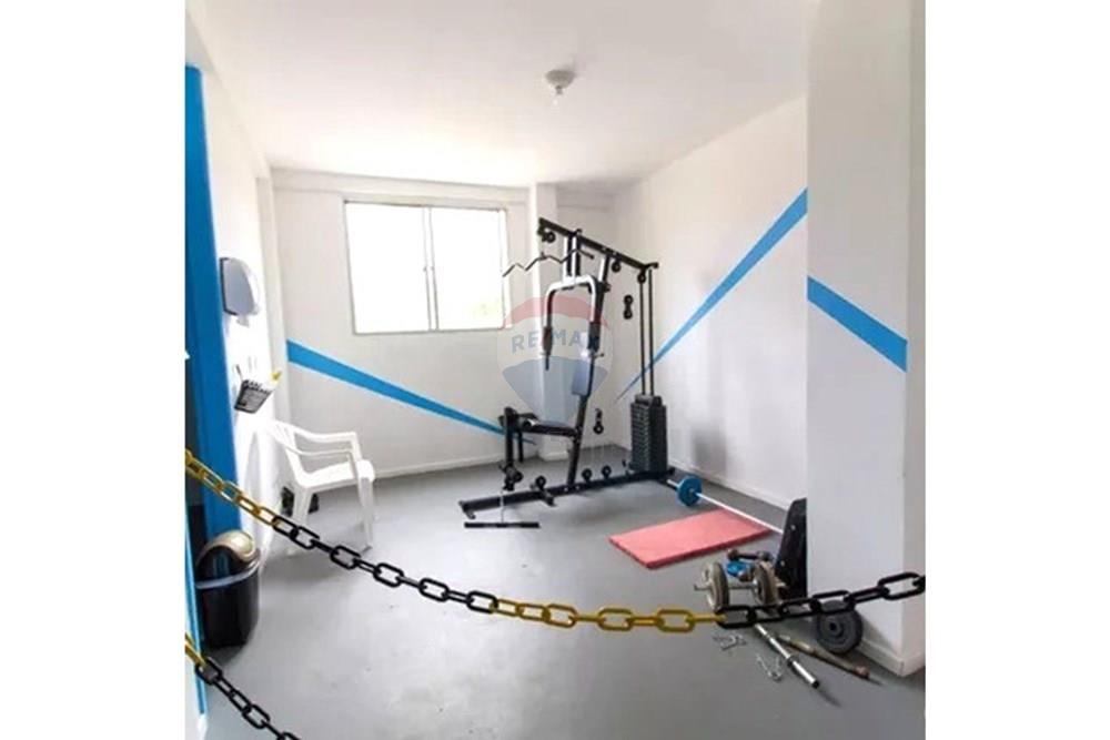 Apartamento - Alugar - São Paulo , São Paulo - 19.jpeg - 602291016-343