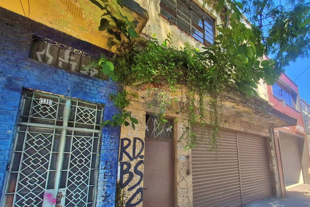 Terreno - Venda - São Paulo , São Paulo - 20260316_110911.jpg - 601451034-41