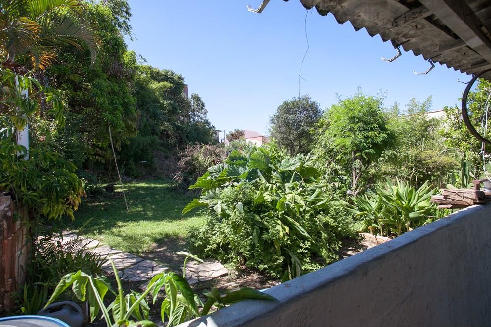 Terreno - Venda - São Paulo , São Paulo - IMG_6059.jpg - 601751009-328