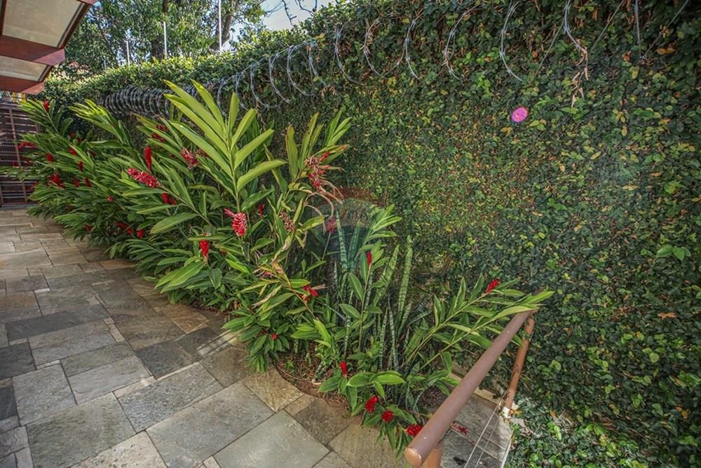 Casa - Alugar - São Paulo , São Paulo - casa altos da lapa - sem logo (35).jpg - 602181052-2