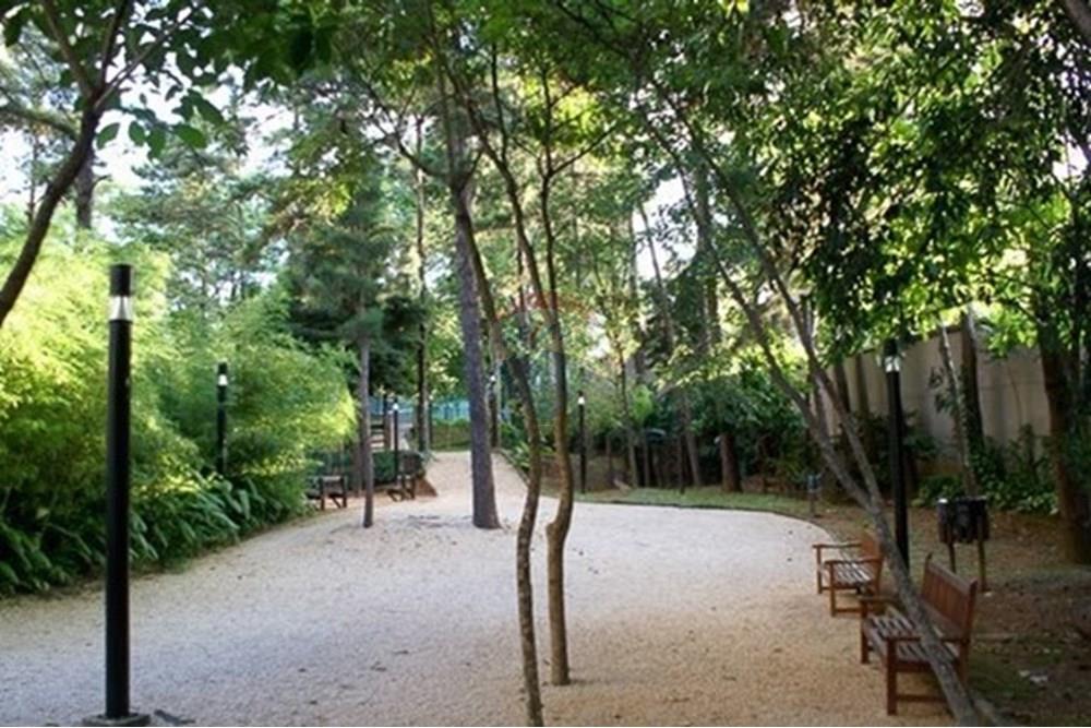 Apartamento - Alugar - São Paulo , São Paulo - j.jpg - 602321003-85