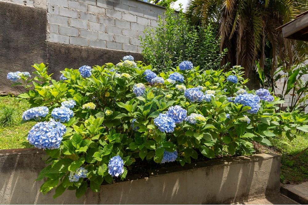 Casa de Condomínio - Venda - Itapecerica da Serra , São Paulo - 01fotos_058.jpg - Quintal - 601331003-36
