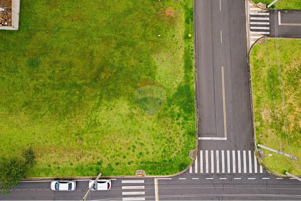 Terreno - Venda - Cotia , São Paulo - DJI_0348.jpg - 602241019-16