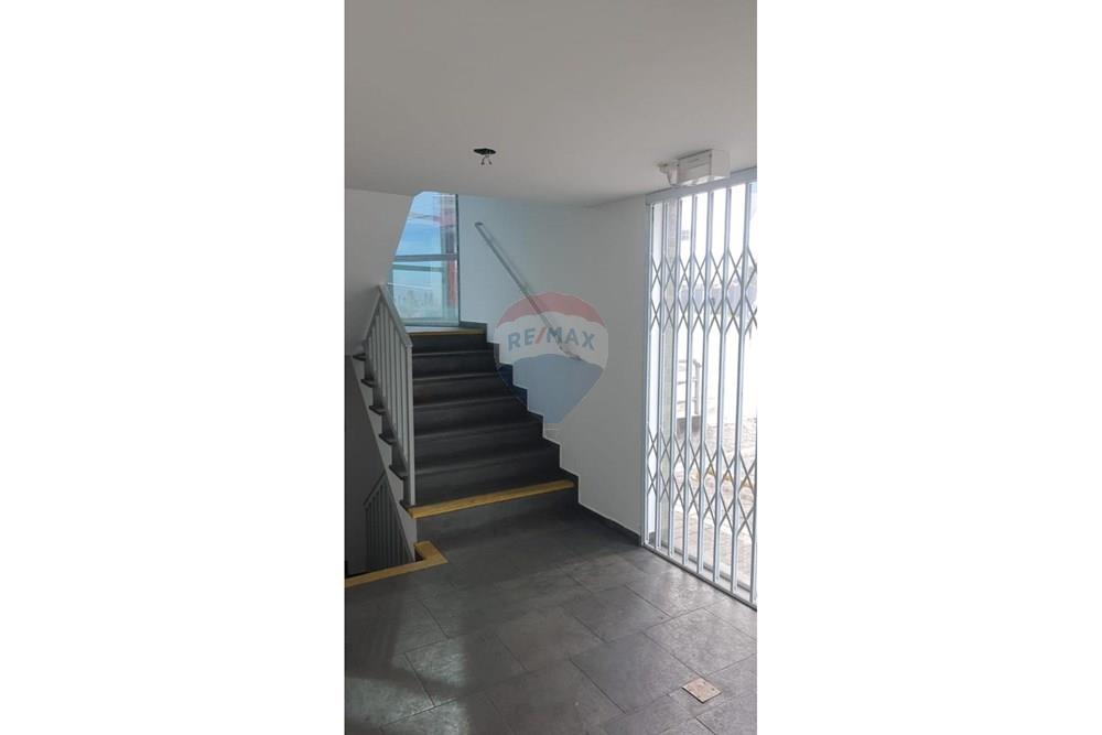 Prédio - Alugar - São Paulo , São Paulo - WhatsApp Image 2025-06-25 at 11.43.29 (8).jpeg - 602521001-4