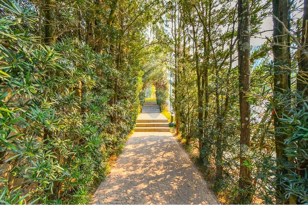 Cobertura - Venda - São Paulo , São Paulo - Foto-11.JPG - 601251016-70