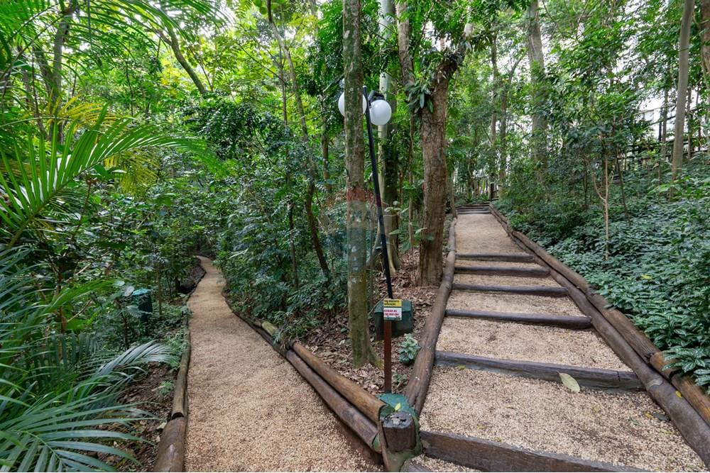 Apartamento - Venda - São Paulo , São Paulo - DSC01103.jpg - 601131003-77