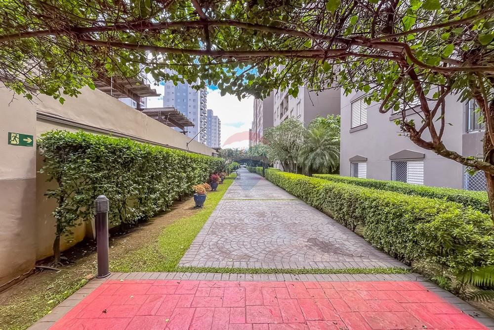 Apartamento - Venda - São Paulo , São Paulo - IMG_0561(1)28.jpg - 602031023-35