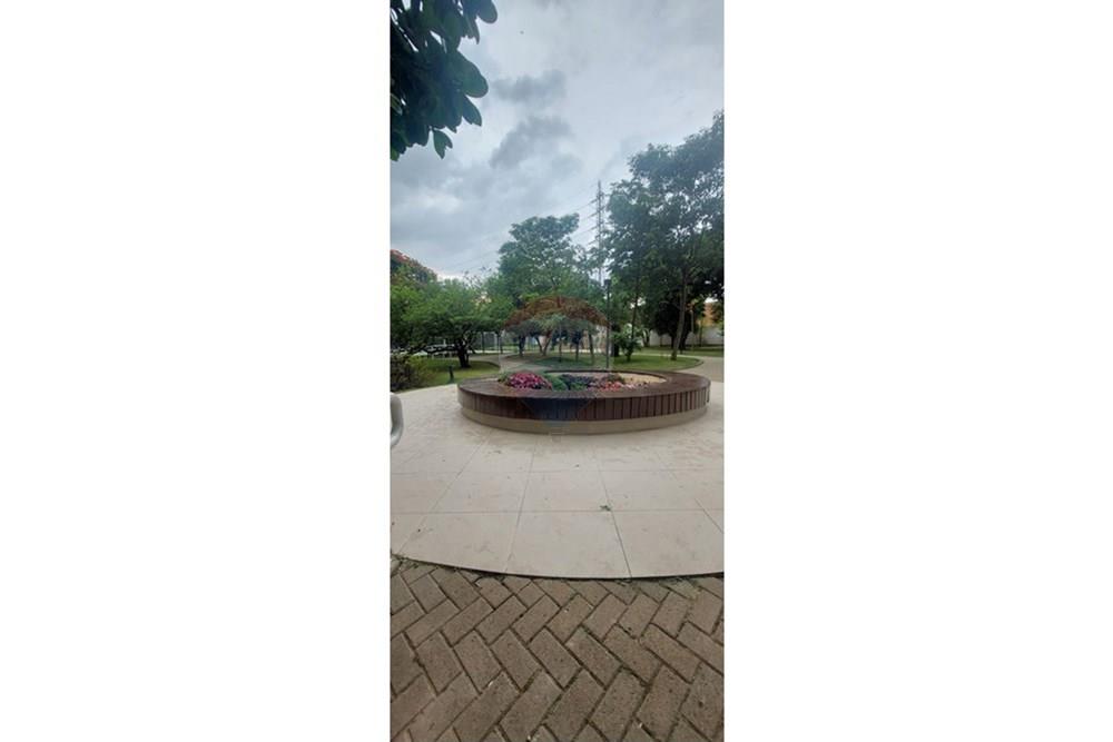 Apartamento - Alugar - São Paulo , São Paulo - IMG-20251203-WA0015.jpg - 601811045-4