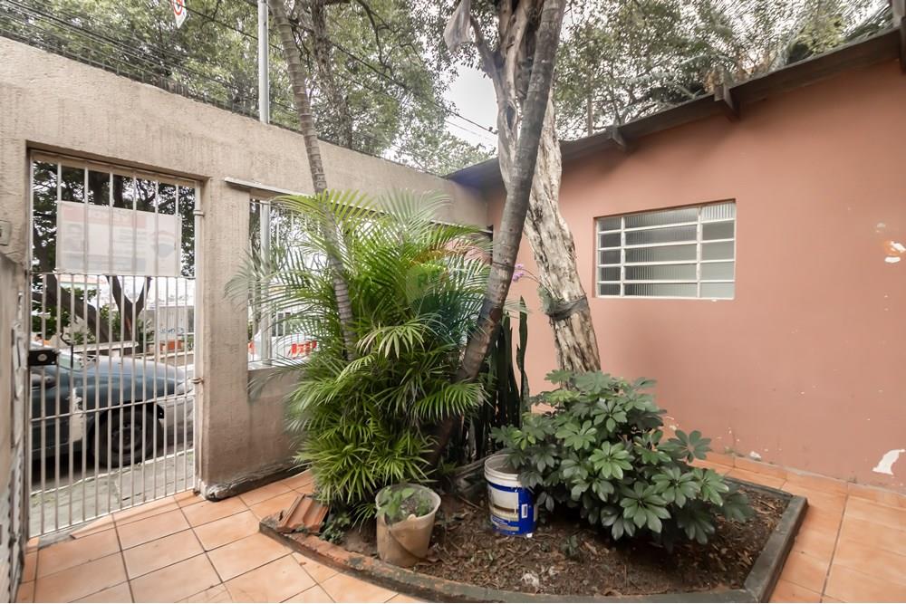 住宅 - 房子 - 圣保罗 , 圣保罗 - BR - IMG_284523.jpg - 601751005-509