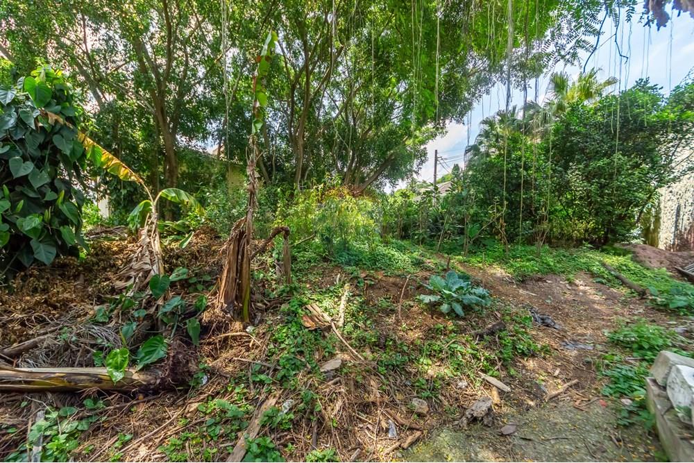 Terreno - Venda - São Paulo , São Paulo - IMG_963415.jpg - 601461011-91