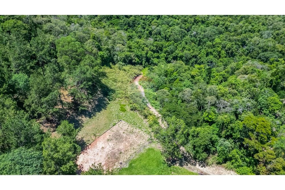 Chácara / Sítio / Fazenda - Venda - São Roque , São Paulo - 12.jpg - 602181038-458