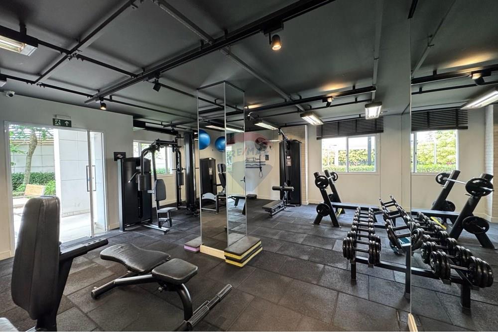 Apartamento - Alugar - São Paulo , São Paulo - WhatsApp Image 2026-02-17 at 10.41.24 (1).jpeg - 602411007-26