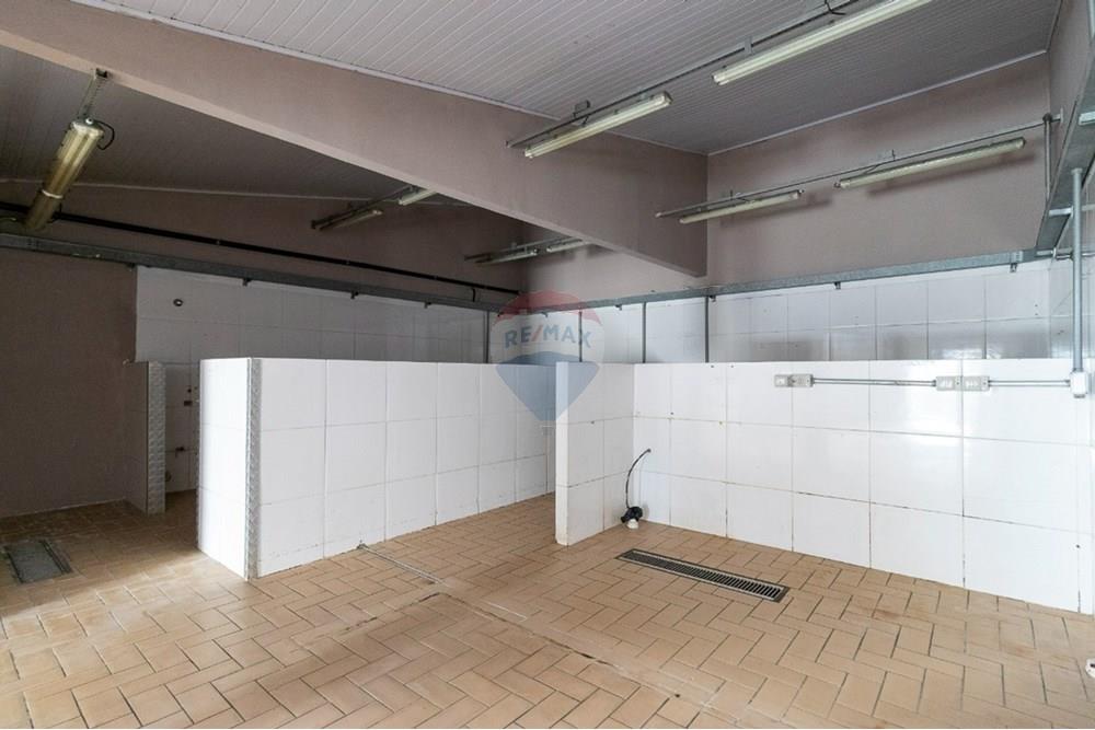 Prédio - Venda - São Paulo , São Paulo - 1724326261278-01fotos_030.jpeg - 601251044-21