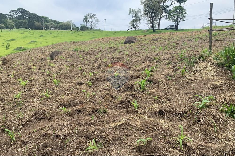 Terreno - Venda - Santana de Parnaíba , São Paulo - IMG_4398.jpg - 601081091-2