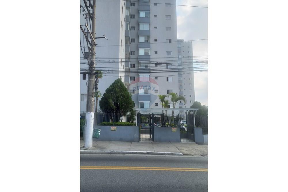 Apartamento - Alugar - São Paulo , São Paulo - 20251205_153702.jpg - 602131003-441