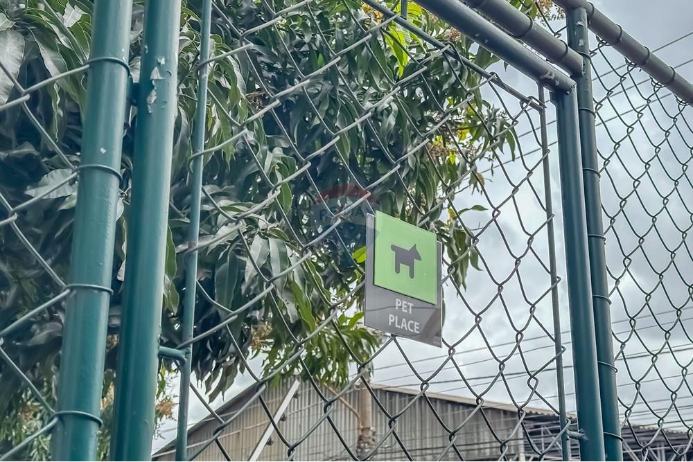 Apartamento - Venda - Osasco , São Paulo - IMG_371928.jpg - 602181030-12