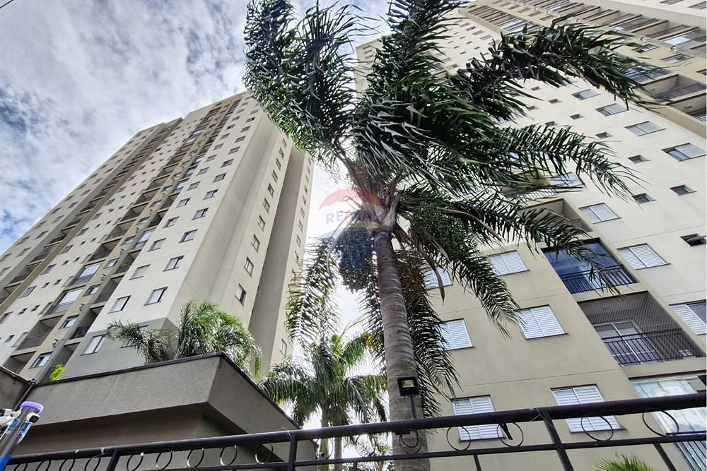 Apartamento - Venda - São Paulo , São Paulo - AV. JOSÉ MARIA FERNANDES, 480 (2).jpg - 601051090-3