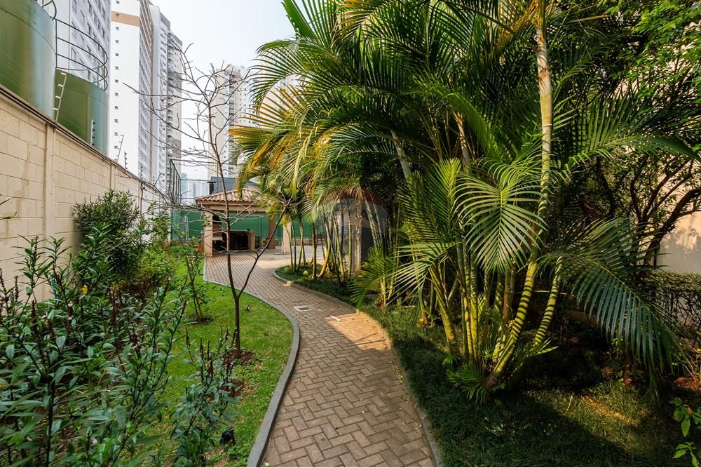 Apartamento - Alugar - São Paulo , São Paulo - 36-Área comum.jpg - 601471003-176