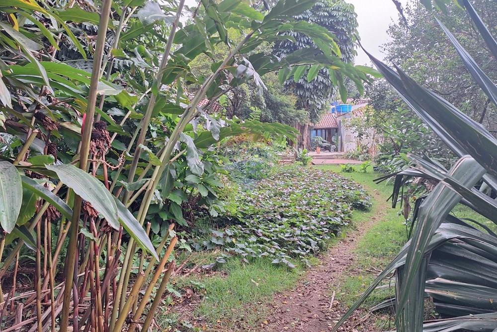 Terreno - Venda - São Paulo , São Paulo - 20260224_175522.jpg - 602271022-177