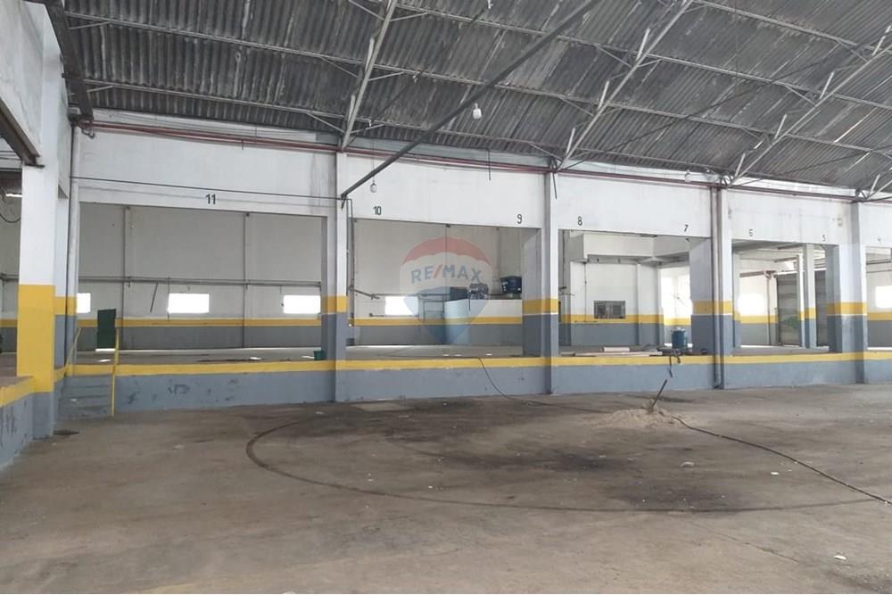 Galpão - Alugar - São Paulo , São Paulo - 17.jpg - 602291021-222