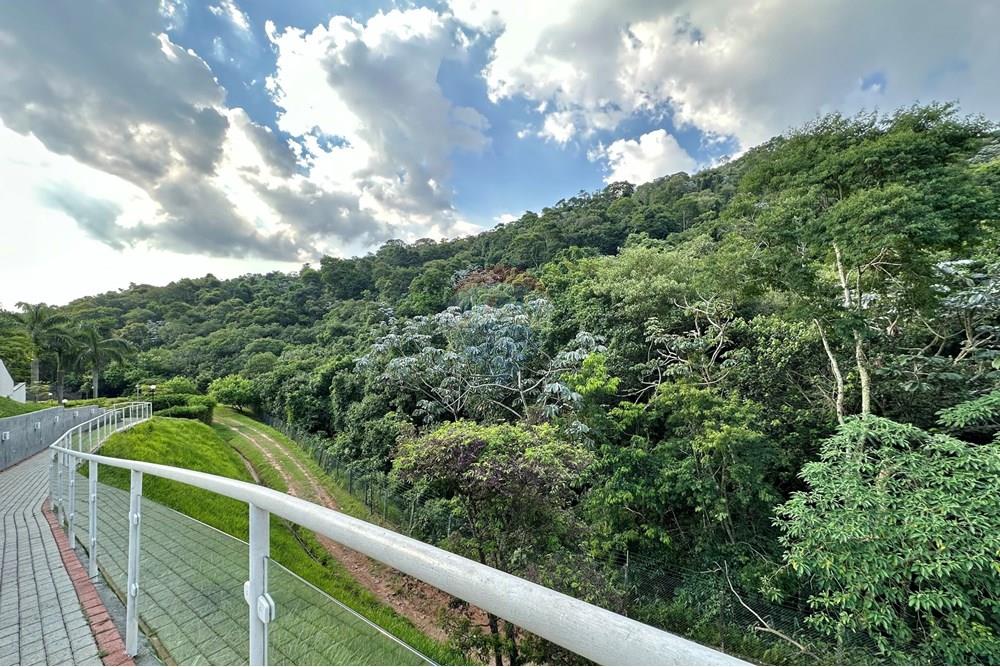 Casa de Condomínio - Alugar - Santana de Parnaíba , São Paulo - IMG_5165.jpg - 602141062-3