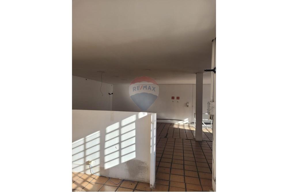 Casa Comercial - Alugar - São Paulo , São Paulo - WhatsApp Image 2025-07-29 at 10.23.36 (1).jpeg - 602191021-24