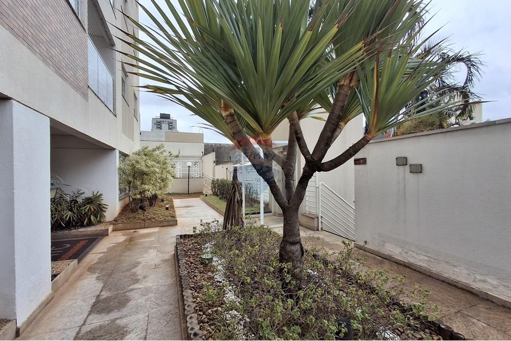 Apartamento - Alugar - São Paulo , São Paulo - 20250701_114227.jpg - 602191025-16