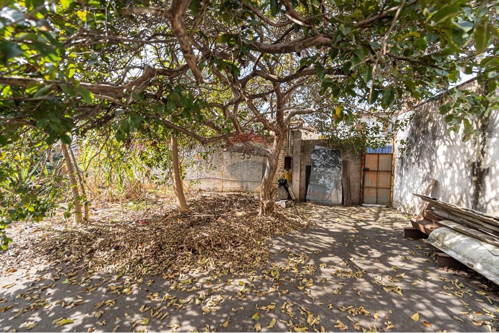 Terreno - Venda - São Paulo , São Paulo - 601301082-18-16.JPG - 601301082-20