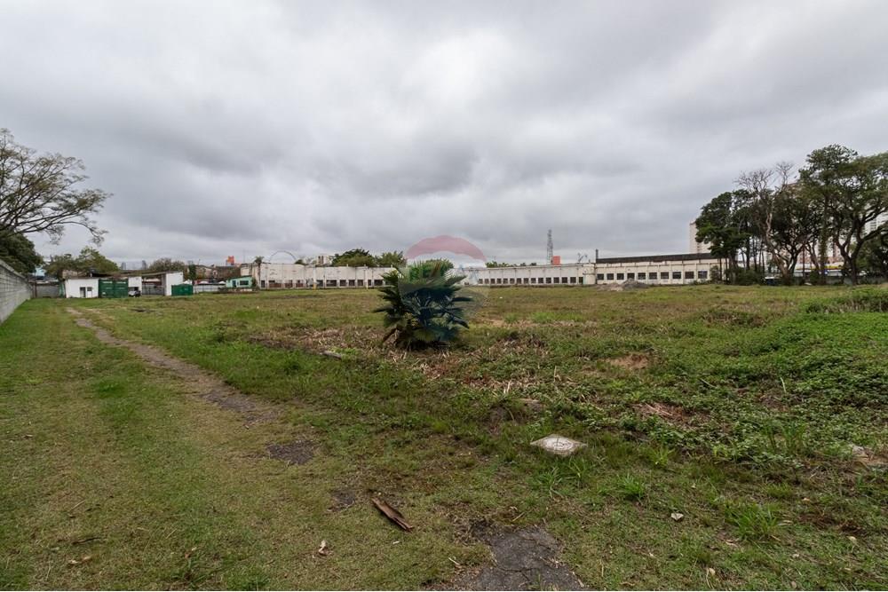 Terreno - Venda - São Paulo , São Paulo - 01fotos_067.jpg - 601251084-263