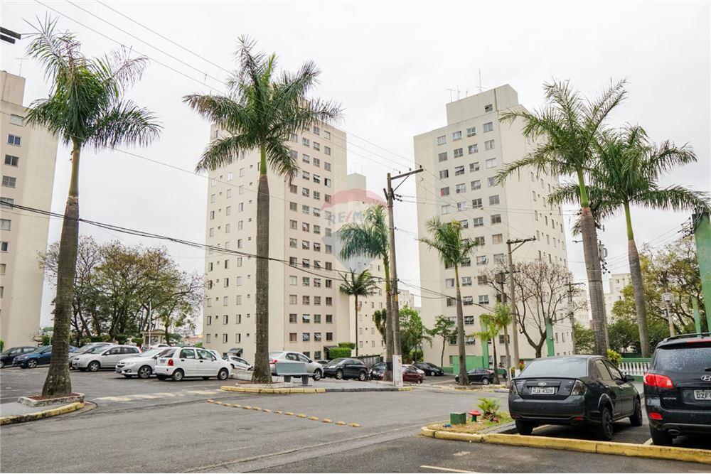 Apartamento - Alugar - São Paulo , São Paulo - 31 - 601751013-243